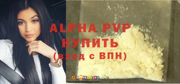 стаф Алексин