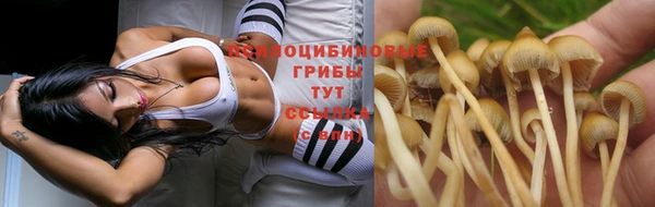 jwh Алексеевка