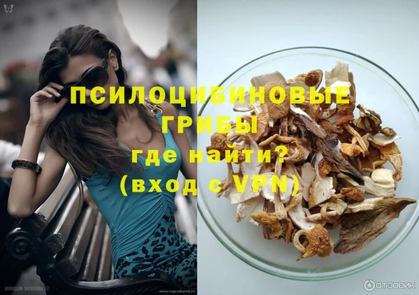 МДПВ Алзамай