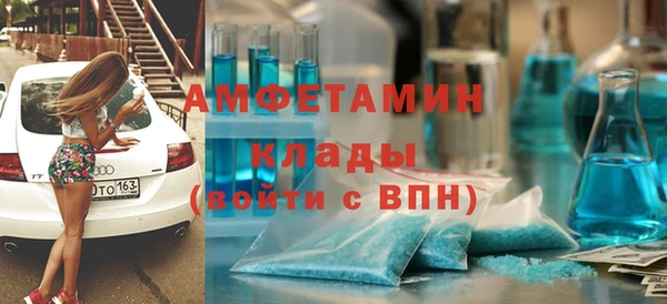 стаф Алексин