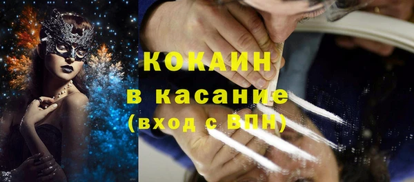 стаф Алексин