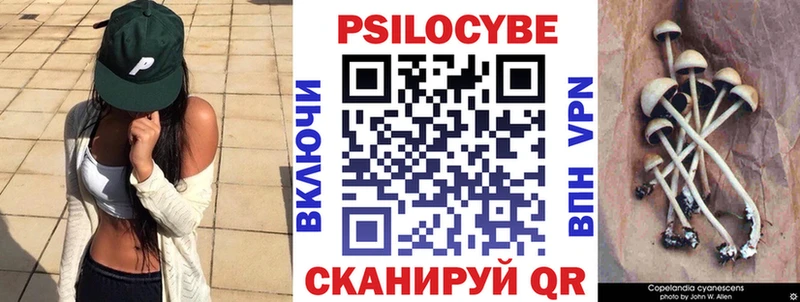 Галлюциногенные грибы Psilocybe  Анадырь 